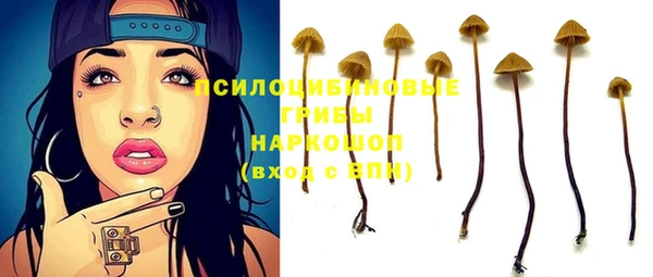 ешки Зеленодольск