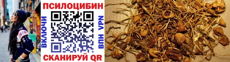 Псилоцибиновые грибы Psilocybine cubensis  Заринск 