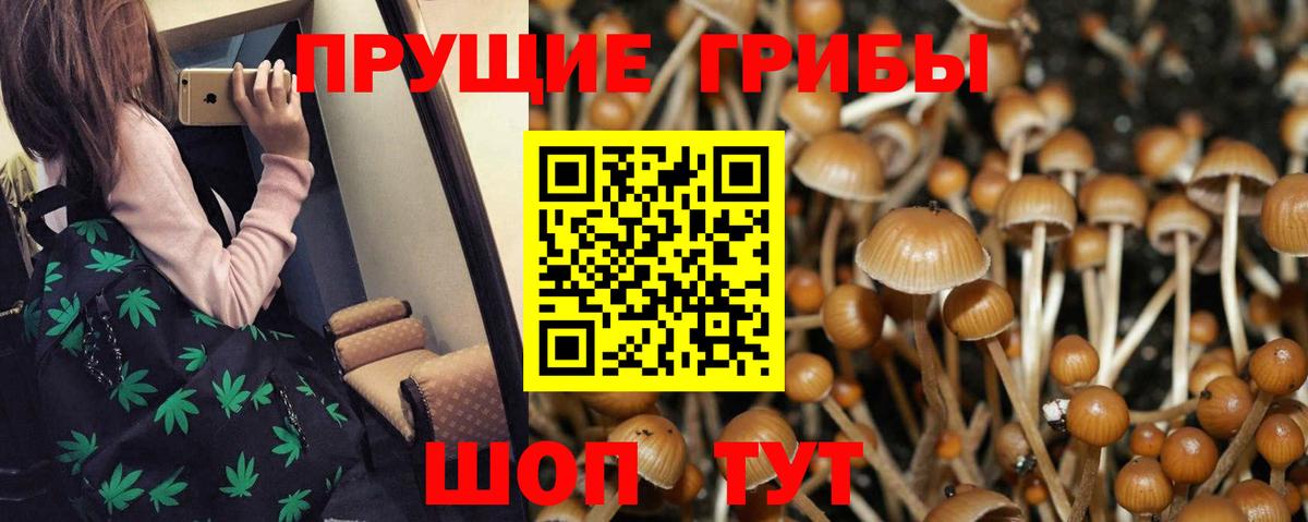Псилоцибиновые грибы ЛСД  Вход с VPN  Псилоцибиновые грибы MAGIC MUSHROOMS  Заринск 